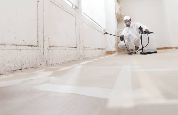 24/7 Emergency Basement Mold Remediation experts in Vienna, VA